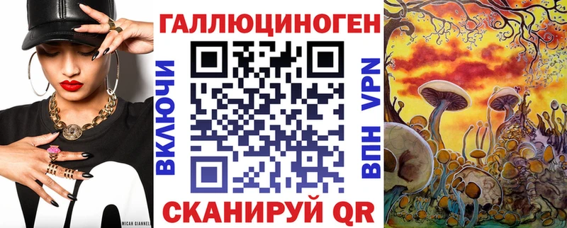 Псилоцибиновые грибы Psilocybe  купить   Лакинск 